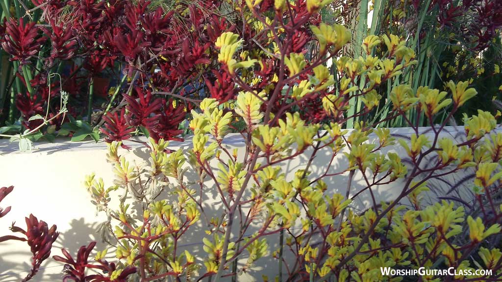 Walk for heart health